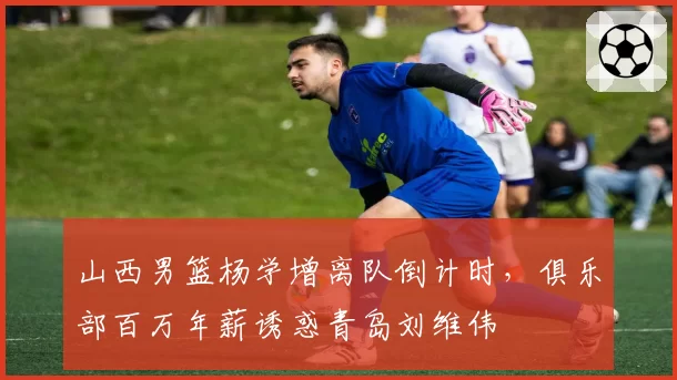 山西男篮杨学增离队倒计时,俱乐部百万年薪诱惑青岛刘维伟