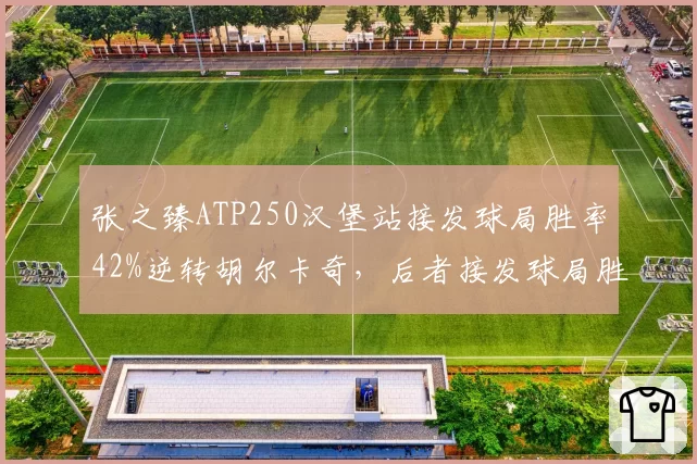 张之臻ATP250汉堡站接发球局胜率42%逆转胡尔卡奇，后者接发球局胜率仅28%
