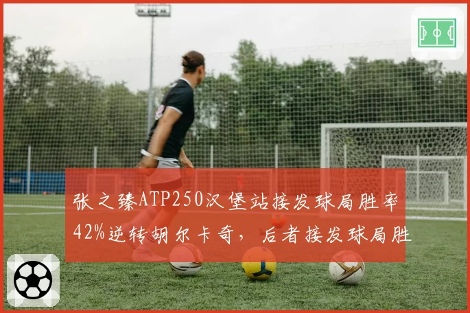 张之臻ATP250汉堡站接发球局胜率42%逆转胡尔卡奇,后者接发球局胜率仅28%