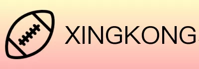 XINGKONG星空体育娱乐 logo